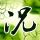 原版安田女子大学毕业证【degxx.com】